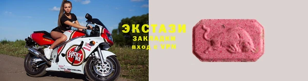 СК Богородицк