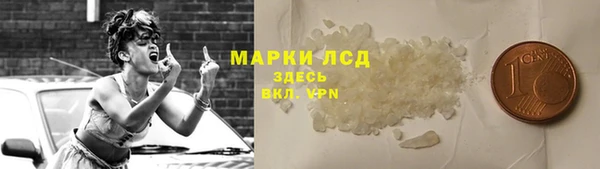 СК Богородицк