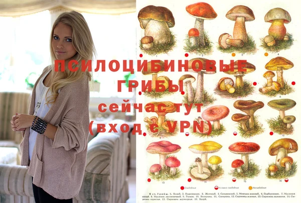 СК Богородицк