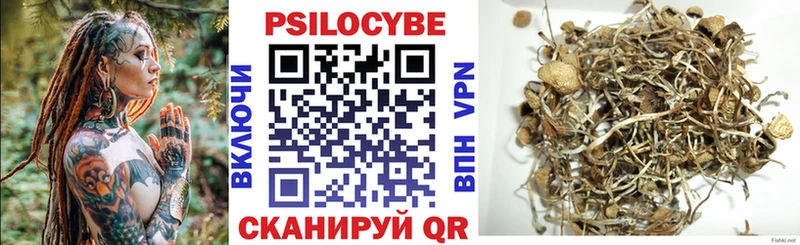 как найти наркотики  Кохма  Галлюциногенные грибы ЛСД 